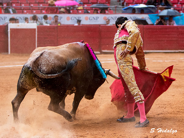 Rafael Reynoso, tarde cuesta arriba