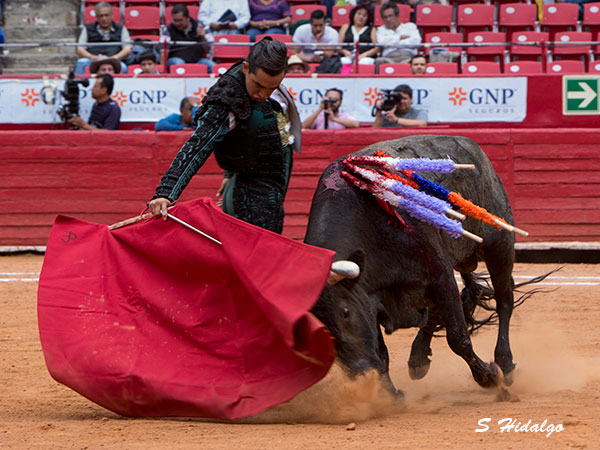 Carlos Casanueva, avances