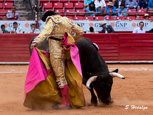 Dejando buen ambiente