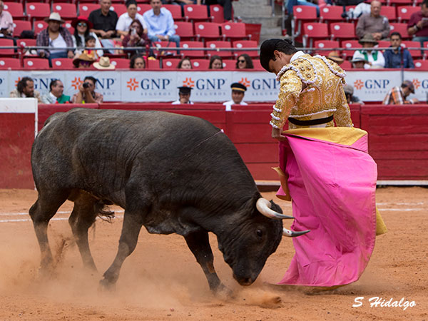 Cada d�a mas cuajado