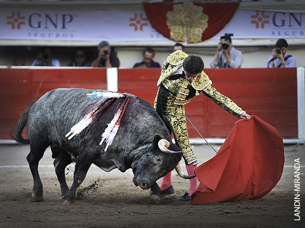 El motor le dur poco