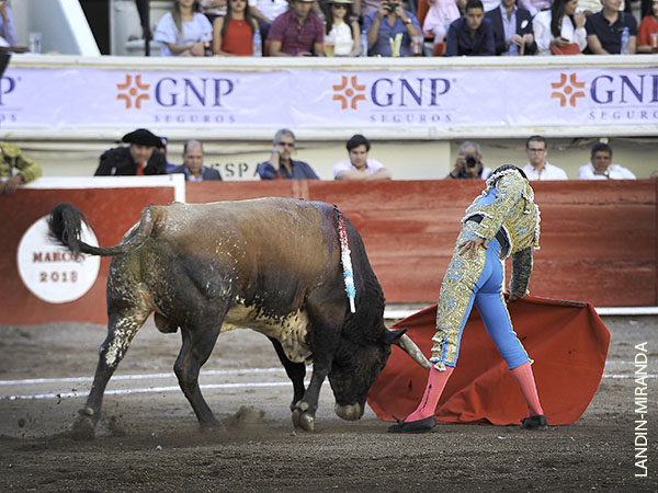 Nobleza del ejemplar