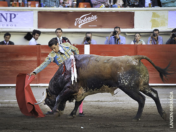 Calidad en sus series