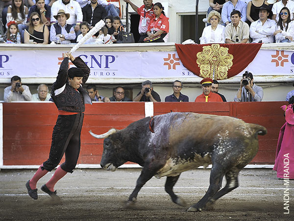 Gustavo, ovacionado en el par