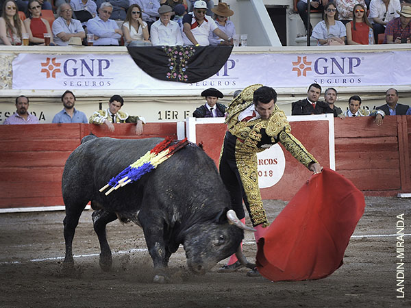 Naturalidad capitalina