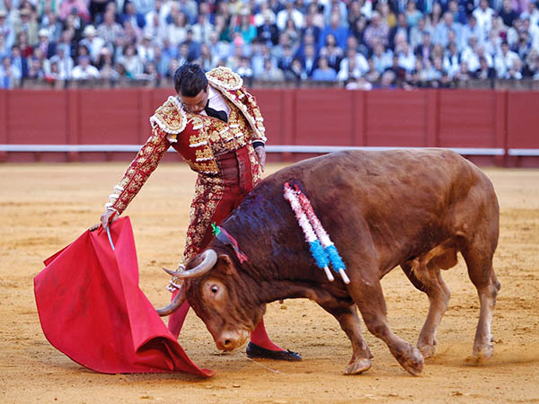 Gran tarde en Sevilla