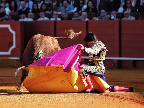 Saludo rodilla en tierra