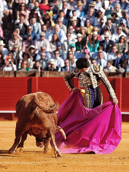 Chicuelinas de Castella