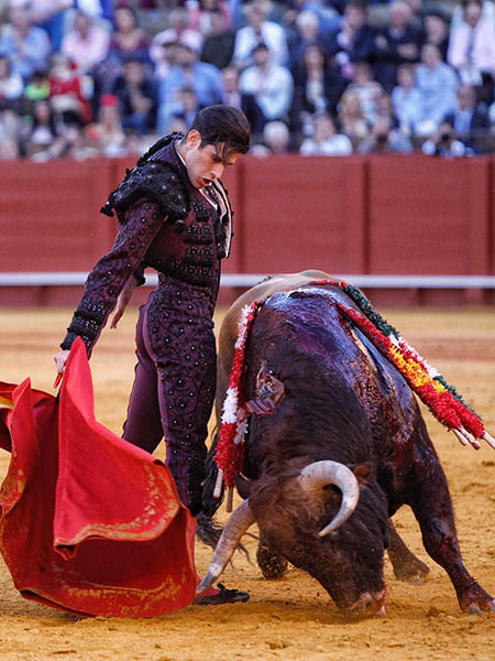 Tirando del casta�o