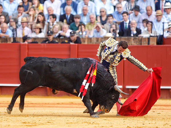 Torer�a con solera