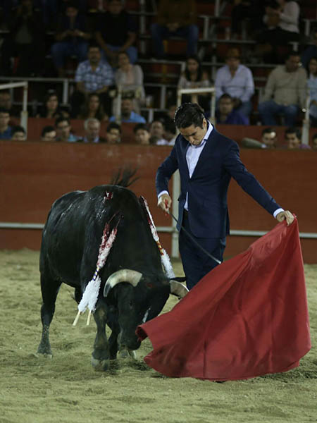 Tirando del negro