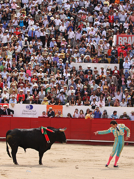 El desplante, en los medios