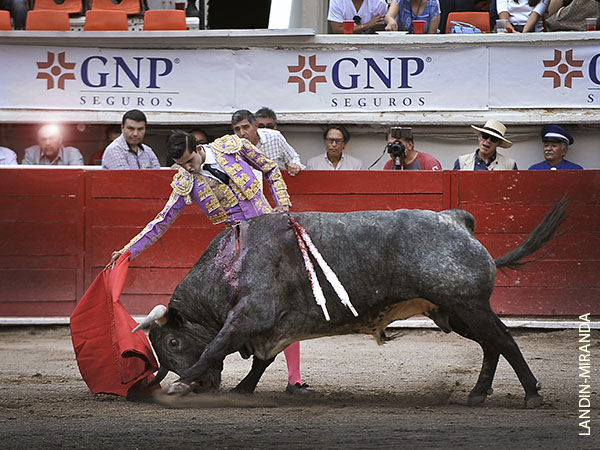 Faena s�lida, bien estructurada