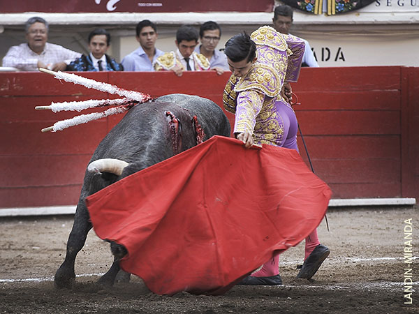 Due�o de un toreo cl�sico