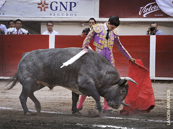 Dotado de un valor sereno