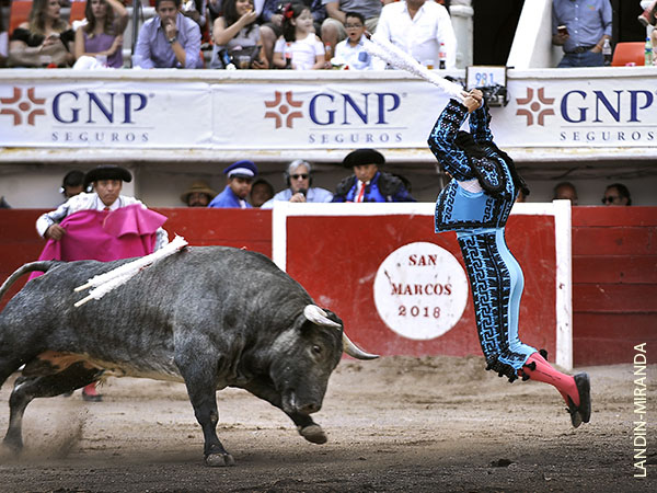 El vuelo de Alejandro Jarris Prado