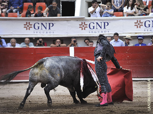 Le hizo falta m�s sitio