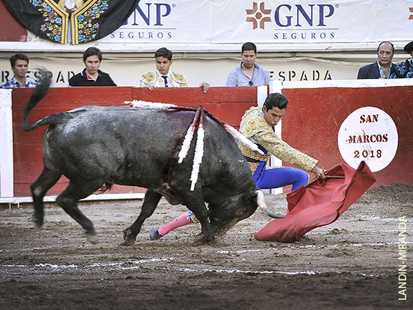 Calibrando al c�rdeno