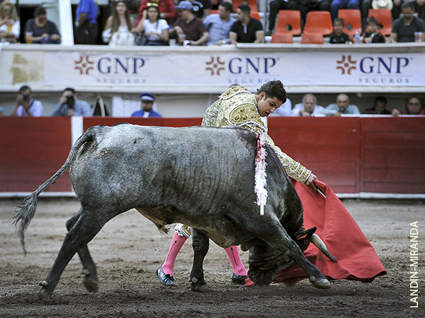 Le rob� pases de m�rito