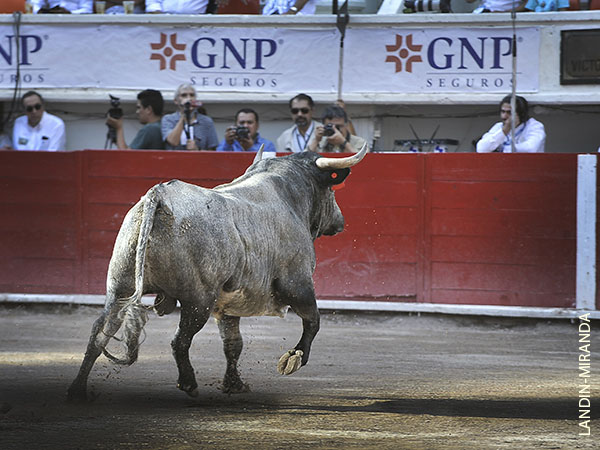 El primero, de Rosas Viejas