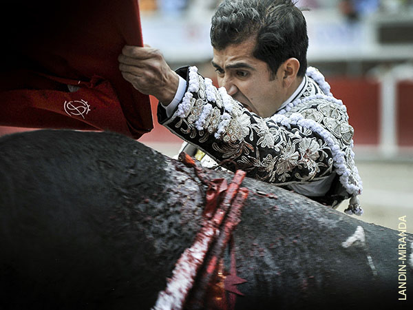 Tan valiente como arrebatado