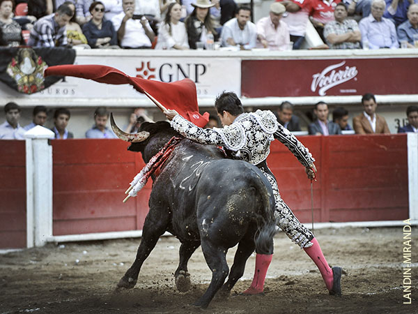 Aqu� y all�, sin desfallecer