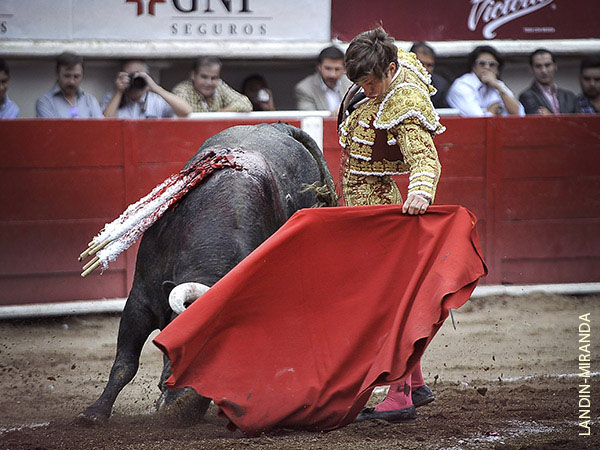 Siempre las telas planchadas