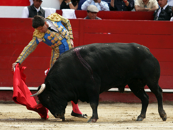 Un redondo con cadencia