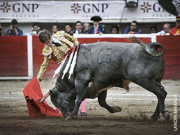 C�rdeno, de Fernando de la Mora