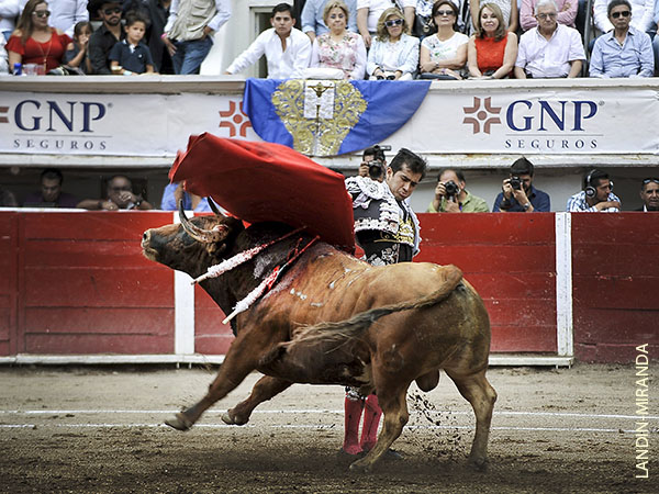 Un casta�o de Santa Fe