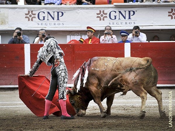 El m�s toreabole de su lote