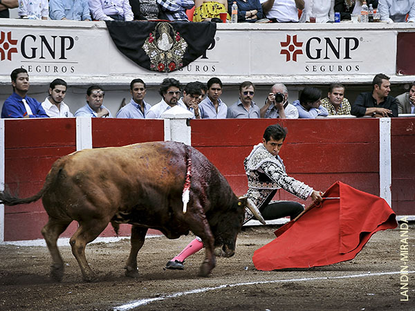 En terrenos menos ventosos