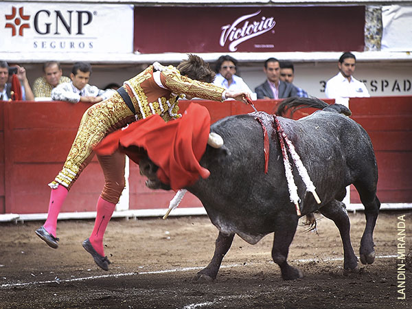 Mat� de una estocada valiente