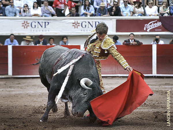 Seguridad y colocaci�n