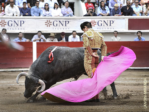 Los vuelos del capote