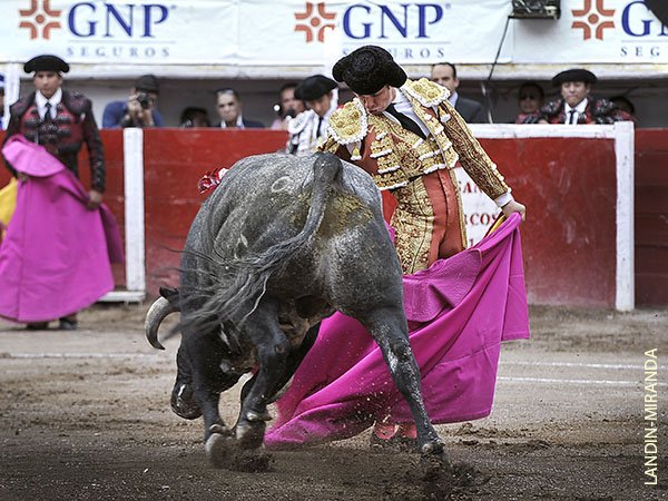 Quite por chicuelinas