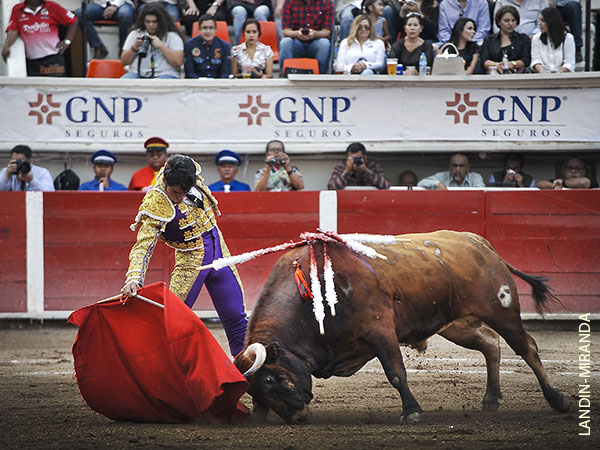 Bien estructurada y con temple