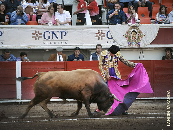 Ferm�n, enfibrado y con car�cter