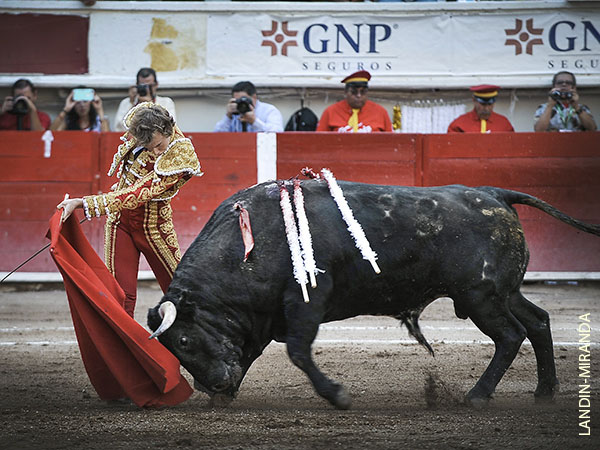 Debut en suelo mexicano