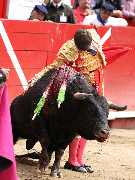 Torer�a en un detalle