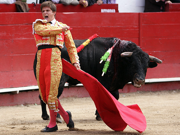 La raza de una figura