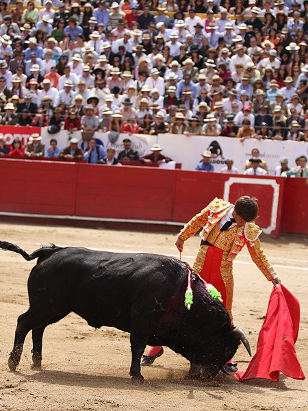 El poder�o del temple