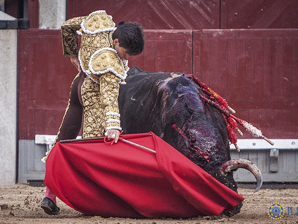 No hubo cosecha de trofeos