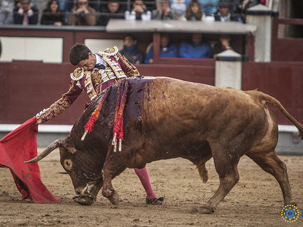 Llev�ndolo toreado