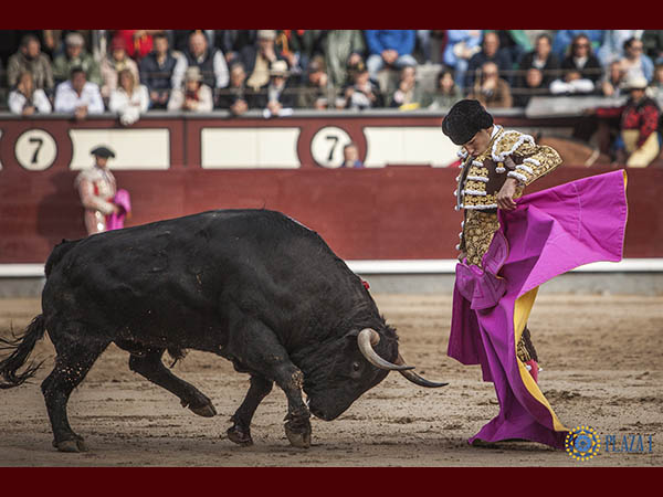 Quite por chicuelinas