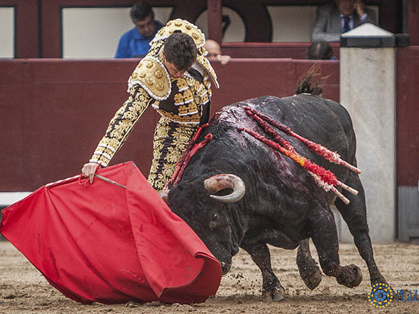 Pasando por la fajilla