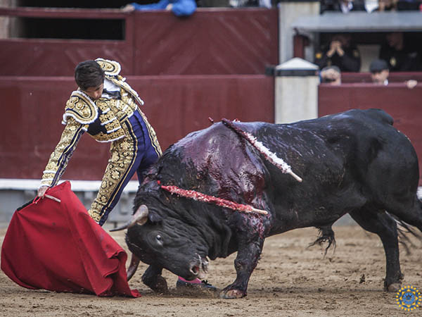 La codicia del negro