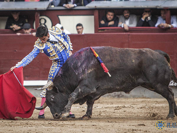 Buen pit�n derecho