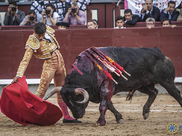 Sin tocar la franela