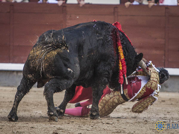 Prendido de la casaca